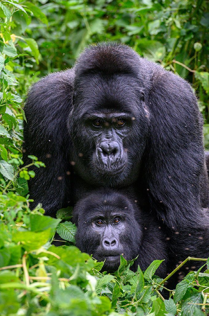 Rwanda